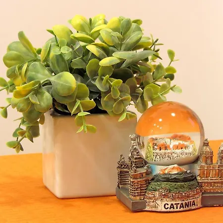 Bed and breakfast Only For You Catania